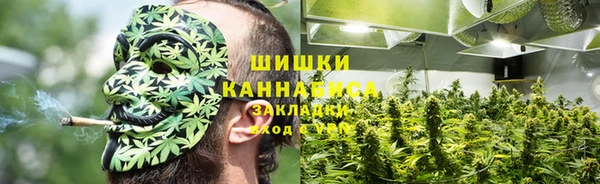 ПСИЛОЦИБИНОВЫЕ ГРИБЫ Аркадак
