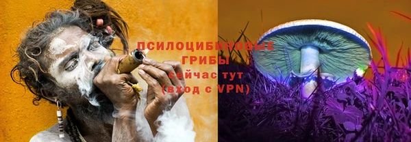 стафф Арсеньев
