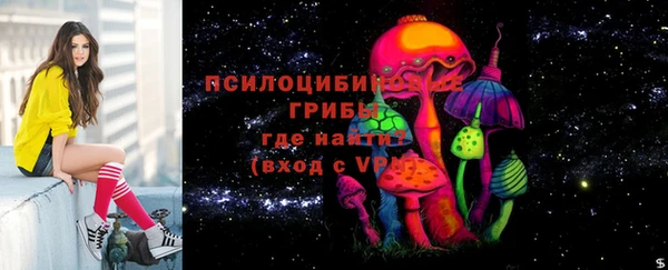 бутират Алзамай