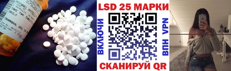 LSD-25 экстази ecstasy  где найти наркотики  OMG ссылка  Новодвинск 
