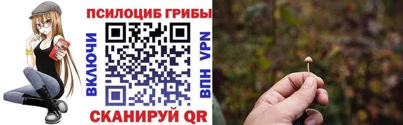 Псилоцибиновые грибы ЛСД Новодвинск